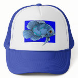Beautiful Blue Tropical Oscar Fish