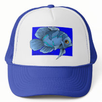 Beautiful Blue Tropical Oscar Fish
