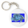 Beautiful Blue Tropical Oscar Fish