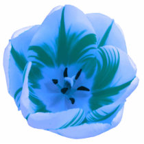Beautiful Blue Tulip Photo Sculpture