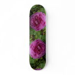 Beautiful Bourbon Rose 'Louise Odier' Skateboard