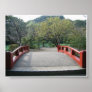 Beautiful Bridge Poster