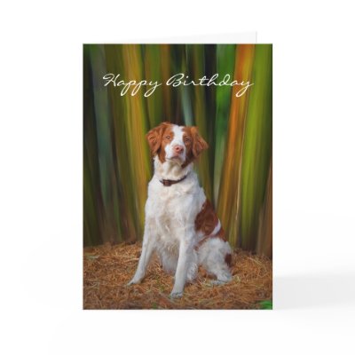 Beautiful Brittany Birthday Card by helen2000g