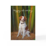 Beautiful Brittany Birthday Card