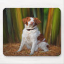 Beautiful Brittany Mousepad