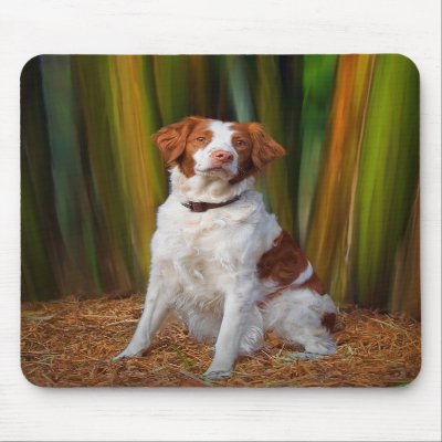 Beautiful Brittany Mousepad by helen2000g
