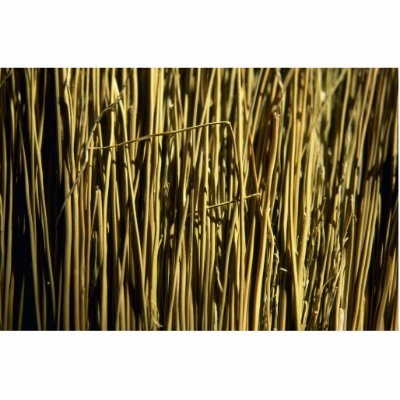 Beautiful Broom Bristles Photo Cut Outs by inspirelove