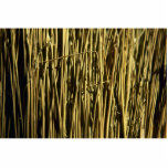 Beautiful Broom Bristles photo sculptures