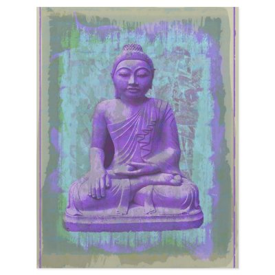 beautiful buddha custom flyer by janmowka