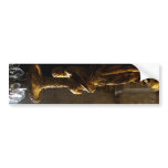 Beautiful Burden bumper stickers