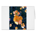 Beautiful Buttercups Greeting Card