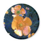 Beautiful Buttercups Refrigerator Magnet