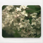 Beautiful Butterfly Bush Mouspad! Mouse Mats