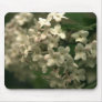 Beautiful Butterfly Bush Mouspad! Mouse Mats