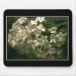 Beautiful Butterfly Bush Mouspad! (with border) Mouse Mat