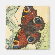 Beautiful Butterfly Fridge Magnets