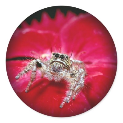 Beautiful butterfly photo stickers by mickeyelvis128