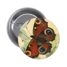 Beautiful Butterfly Pinback Button