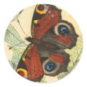 Beautiful Butterfly stickers