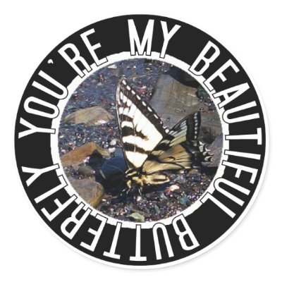 Beautiful Butterfly Sticker by CreatureCreations