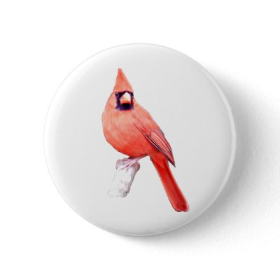 Beautiful Cardinal Pinback Button by TLArnold