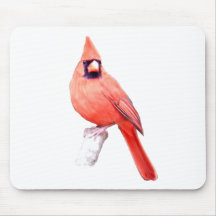Beautiful Cardinal Mouse Pads
