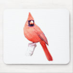 Beautiful Cardinal Mouse Pads