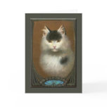Beautiful Cat cards