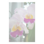 Beautiful Cattleya Orchid Stationery Design
