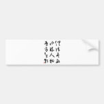 Beautiful Chinese Calligraphy - All are past Bumper Sticker