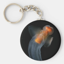 Beautiful Clione keychains