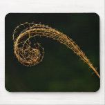 Beautiful Close-up Mousepad!