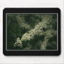Beautiful Close-up mousepad! (with border)