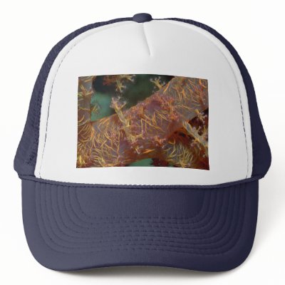 Beautiful Colourful Dondronephthya soft coral Hats by inspirelove