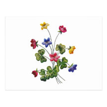Beautiful Colourful Embroidered Wood Sorrel Post Cards
