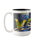 Beautiful Conure Coffee Mug