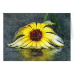 Beautiful Crushed Yellow Gerbera Daisy Flower Cards
