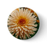 Beautiful Dahlia