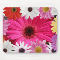 Beautiful Daisies Daisies mousepads