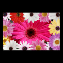 Beautiful Daisies Daisies posters