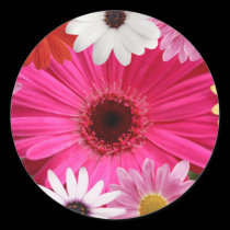Beautiful Daisies Daisies stickers