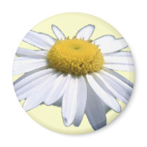 BEAUTIFUL DAISY - ASTERACEAE - SUNFLOWER