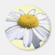 BEAUTIFUL DAISY - ASTERACEAE - SUNFLOWER REFRIGERATOR MAGNETS