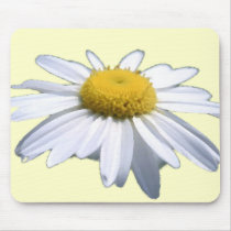 BEAUTIFUL DAISY - ASTERACEAE - SUNFLOWER