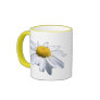 BEAUTIFUL DAISY - ASTERACEAE - SUNFLOWER COFFEE MUG