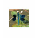 Beautiful Demoiselle Ladies Camisole t-shirts