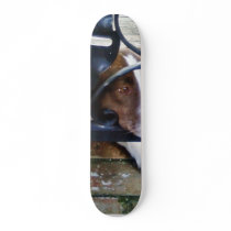 Beautiful Dog On Bricks Custom Skate Board