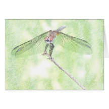 Beautiful Dragonfly Greeting Card