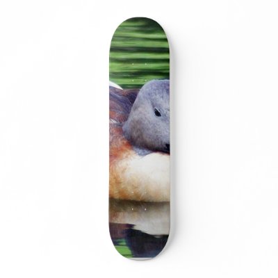 Beautiful Duck On Water Skate Board by lifesphere