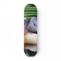 Beautiful Duck On Water skateboards